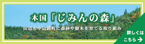 木国 きのくに じみんの森